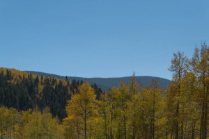 20201020FallColors2020140.jpg